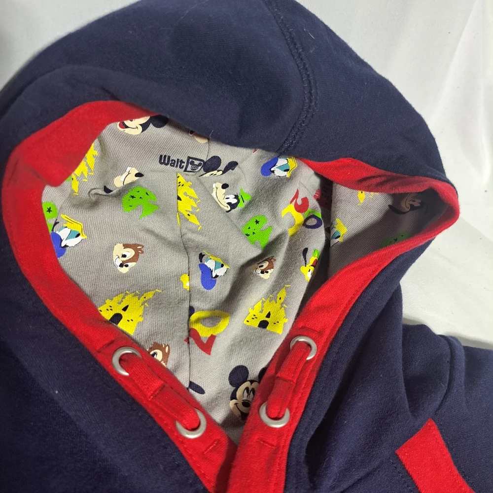 Walt Disney World Kids Small Pullover Hoodie‎ Hindsight 2020 Pluto